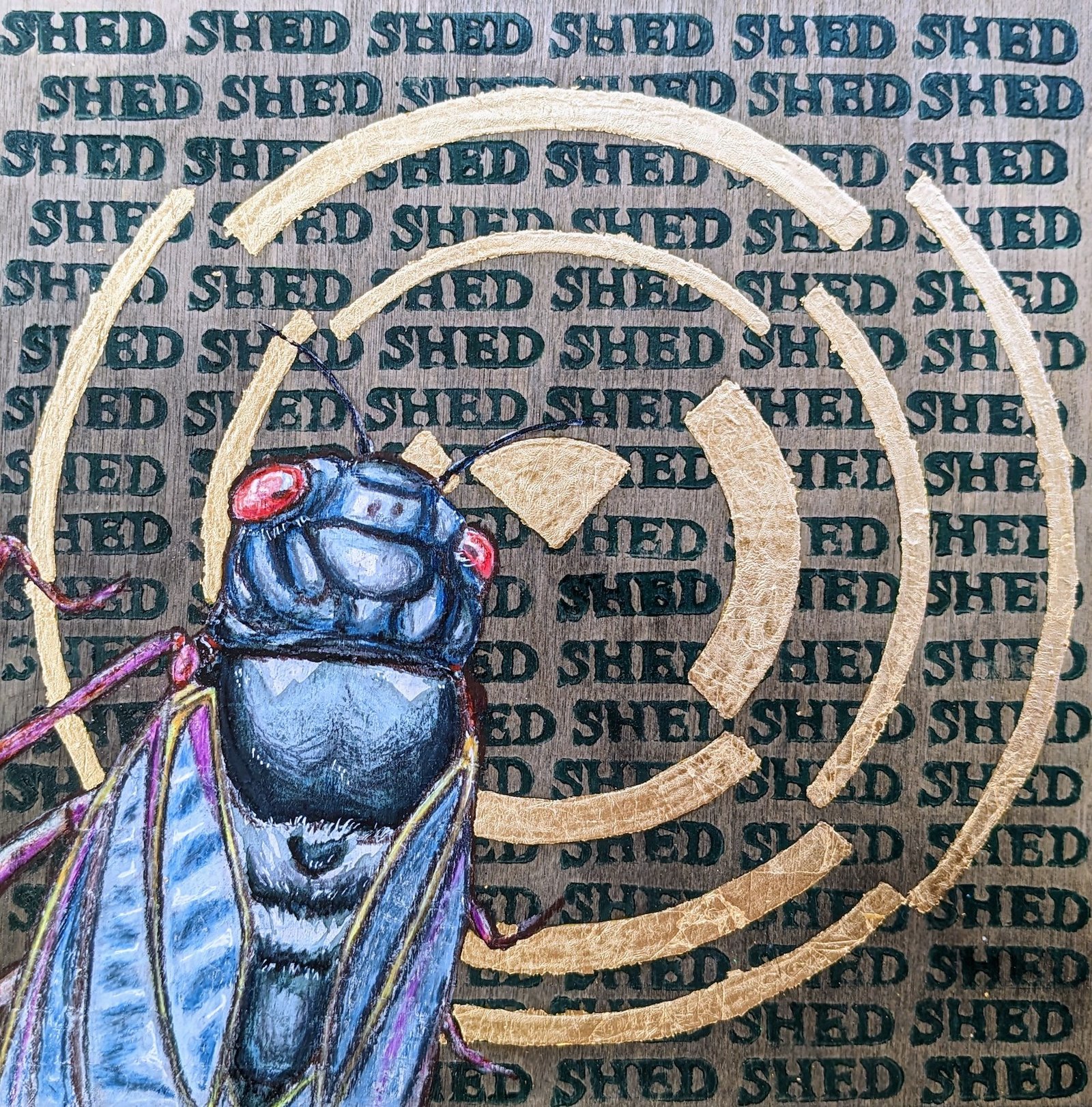 cicada metamorphosis series ember estridge
