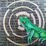 frog metamorphosis series ember estridge