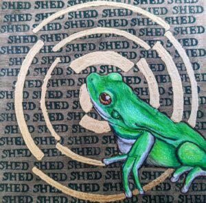 frog metamorphosis series ember estridge