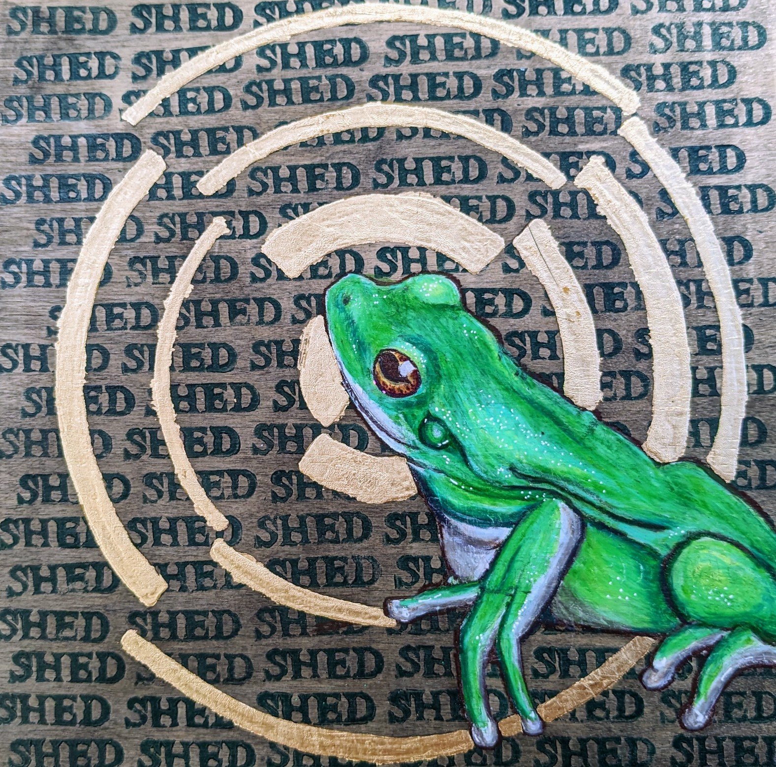 frog metamorphosis series ember estridge