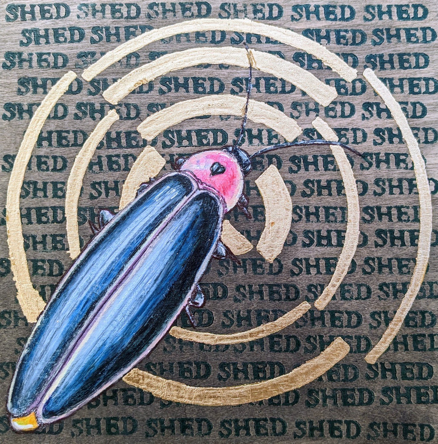 lightning bug metamorphosis series ember estridge
