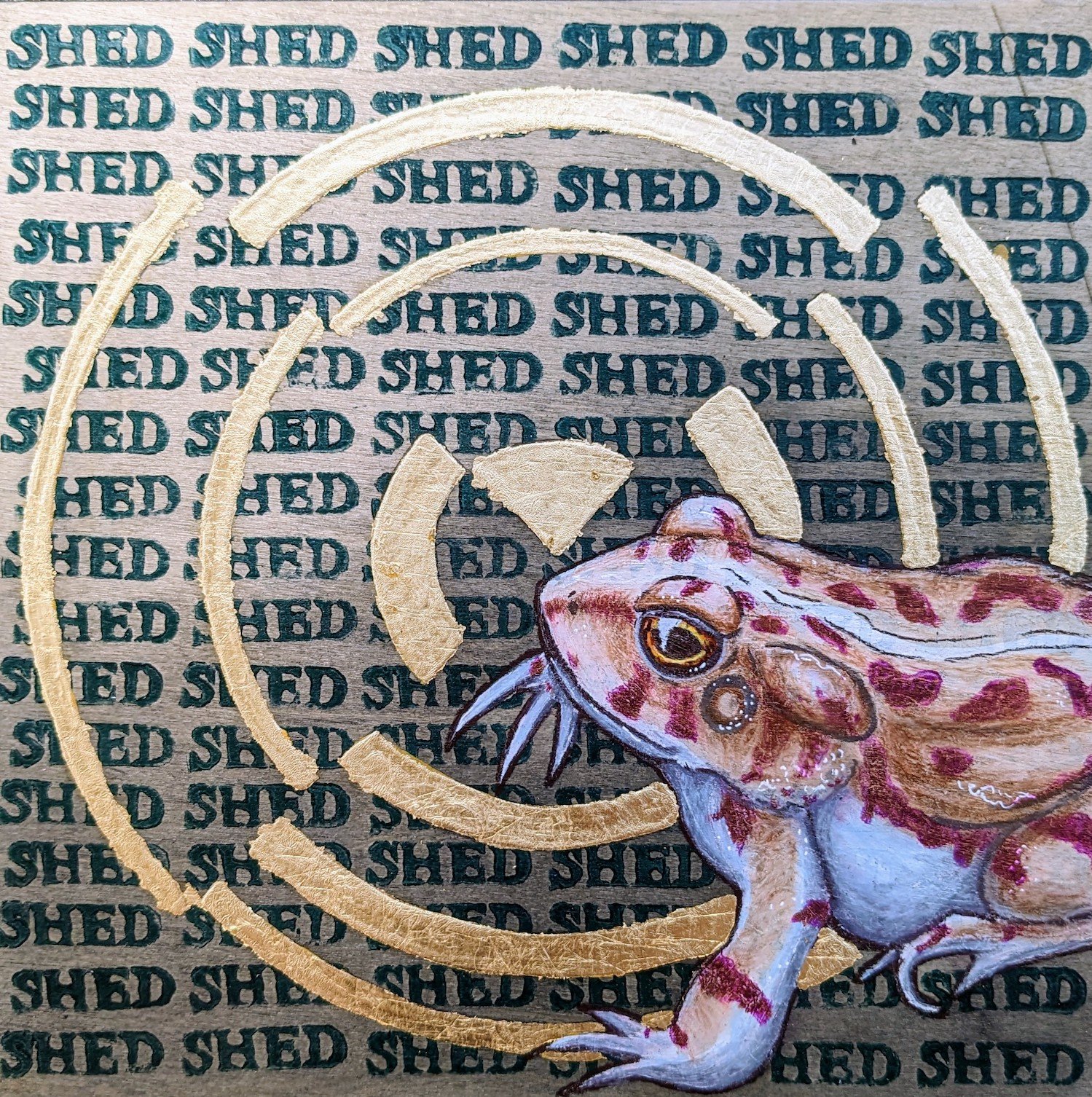 toad metamorphosis series